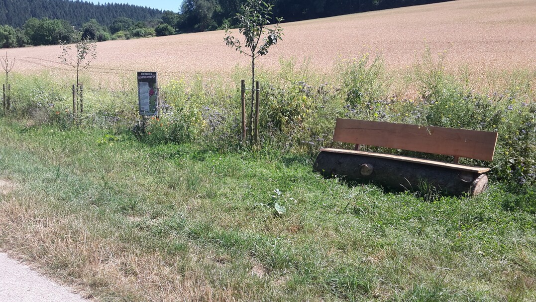 Blhstreifen im Neckar-Odenwald-Kreis