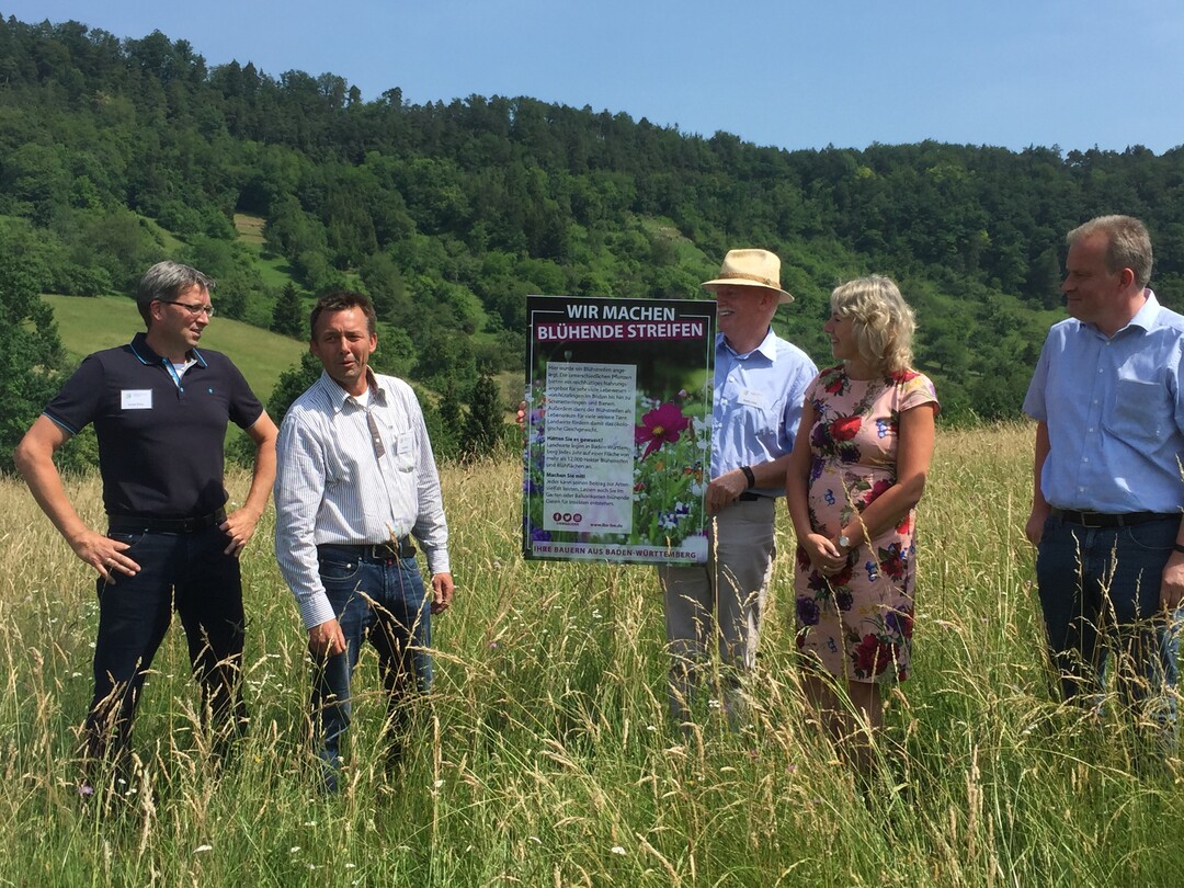 Baden-Wrttemberg Blht auf im Kreis Tbingen
